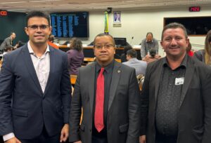 Coren-PI participa de audiência pública sobre racismo na Enfermagem, na Câmara dos Deputados