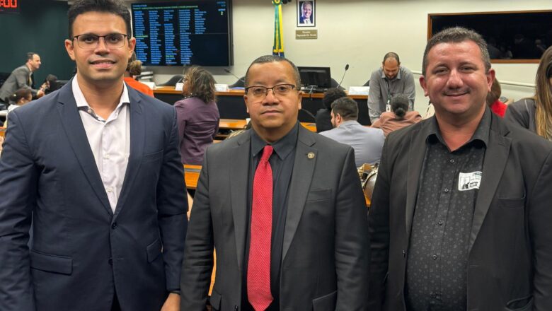 Coren-PI participa de audiência pública sobre racismo na Enfermagem, na Câmara dos Deputados