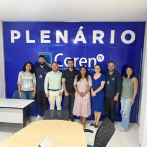 Grupo de Trabalho em Enfermagem Neonatal do Coren-PI incentiva registro de especialidade e propõe capacitações na área