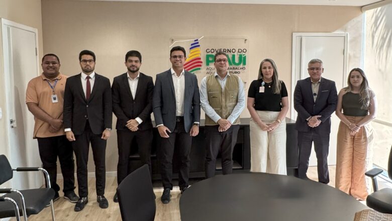 Coren-PI dialoga com Sesapi sobre jornada de trabalho e remuneração da Enfermagem