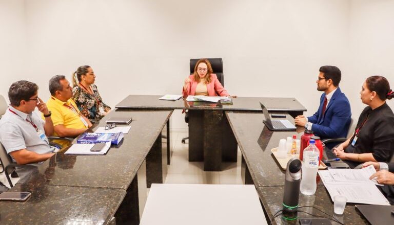 Coren-PI cobra regularização do quadro de enfermagem no Hospital Areolino de Abreu em audiência no MPPI