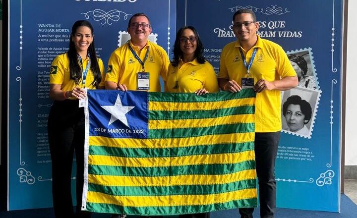 Coren-PI participa do I Seminário Nacional de Educação em Enfermagem promovido pelo Cofen