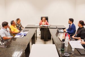 Coren-PI cobra regularização do quadro de enfermagem no Hospital Areolino de Abreu em audiência no MPPI