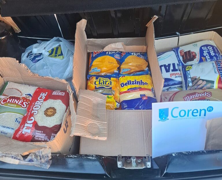 Coren-PI transforma capacitação em solidariedade e beneficia instituições sociais no estado