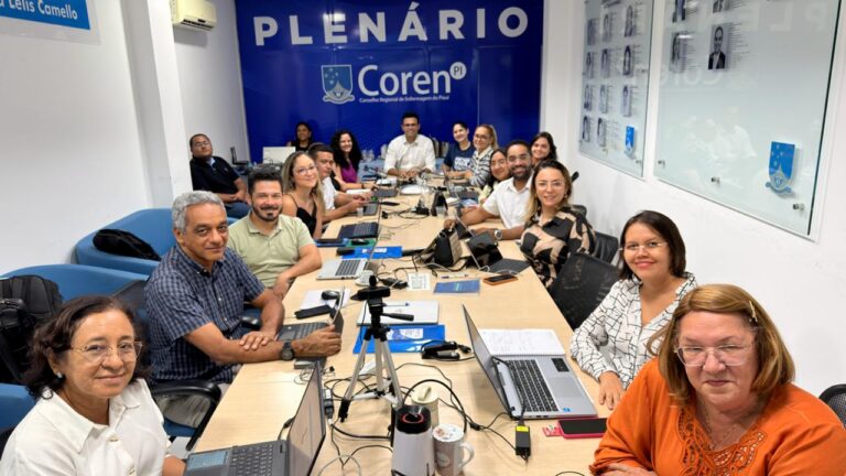 Coren-PI fortalece integração do Sistema Cofen/Conselhos Regionais de Enfermagem com treinamento nacional de fiscalização do SIGEN