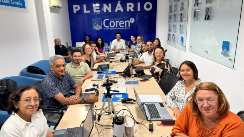 Coren-PI fortalece integração do Sistema Cofen/Conselhos Regionais de Enfermagem com treinamento nacional de fiscalização do SIGEN