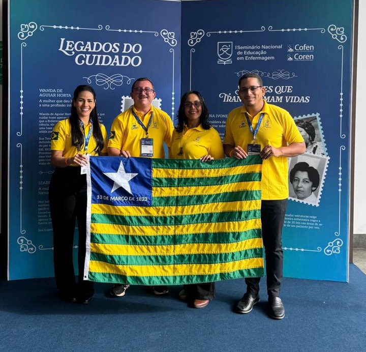 Coren-PI participa do I Seminário Nacional de Educação em Enfermagem promovido pelo Cofen